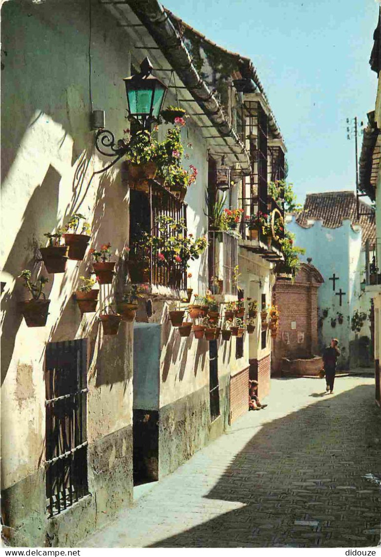 Espagne - Espana - Andalucia - Costa Del Sol - Rincon Tipico - Coin Typique - CPM - Voir Scans Recto-Verso - Other & Unclassified