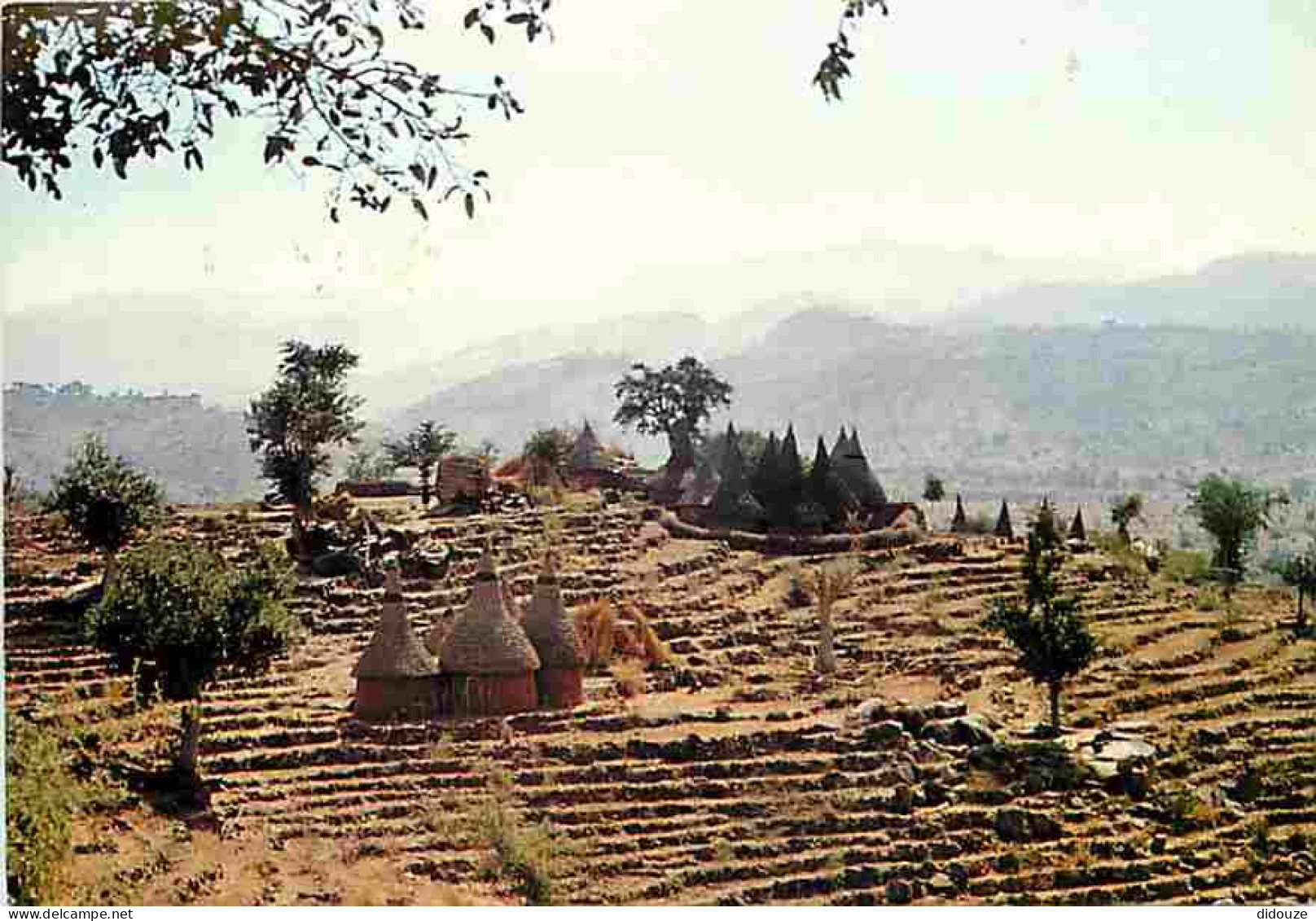 Cameroun - Mokolo - Vue Panoramique Sur La Région De Koza - CPM - Voir Scans Recto-Verso - Kamerun