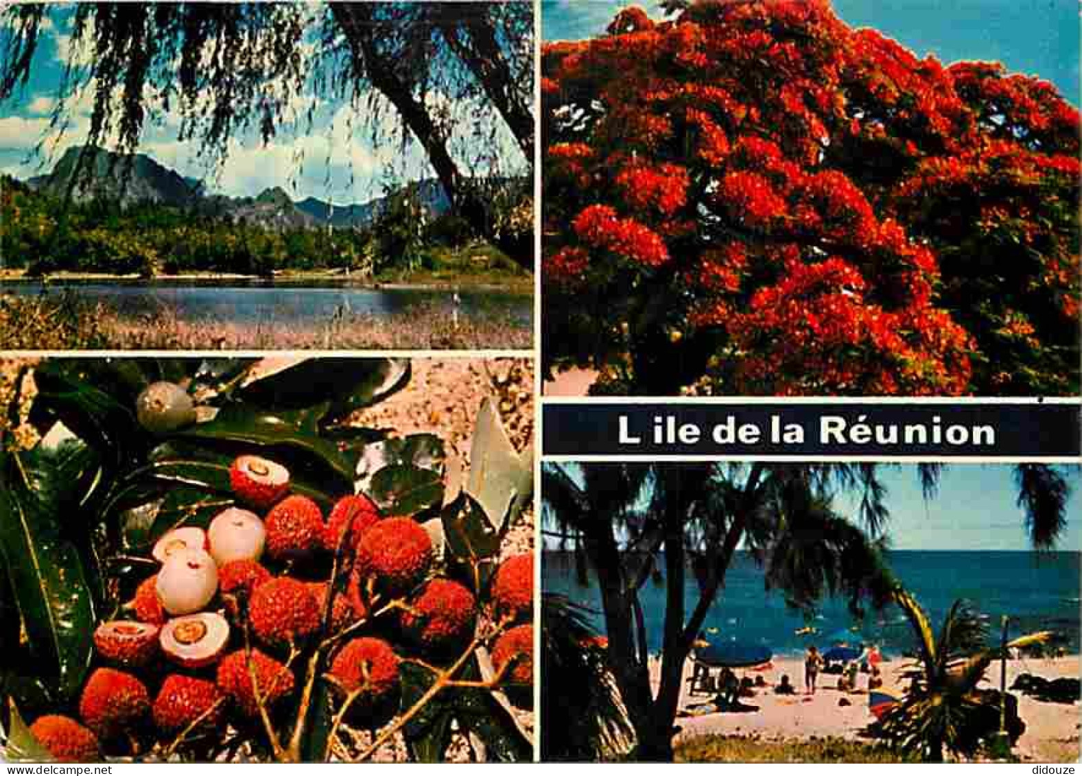 Ile De La Réunion - Multivues - CPM - Voir Scans Recto-Verso - Sonstige & Ohne Zuordnung