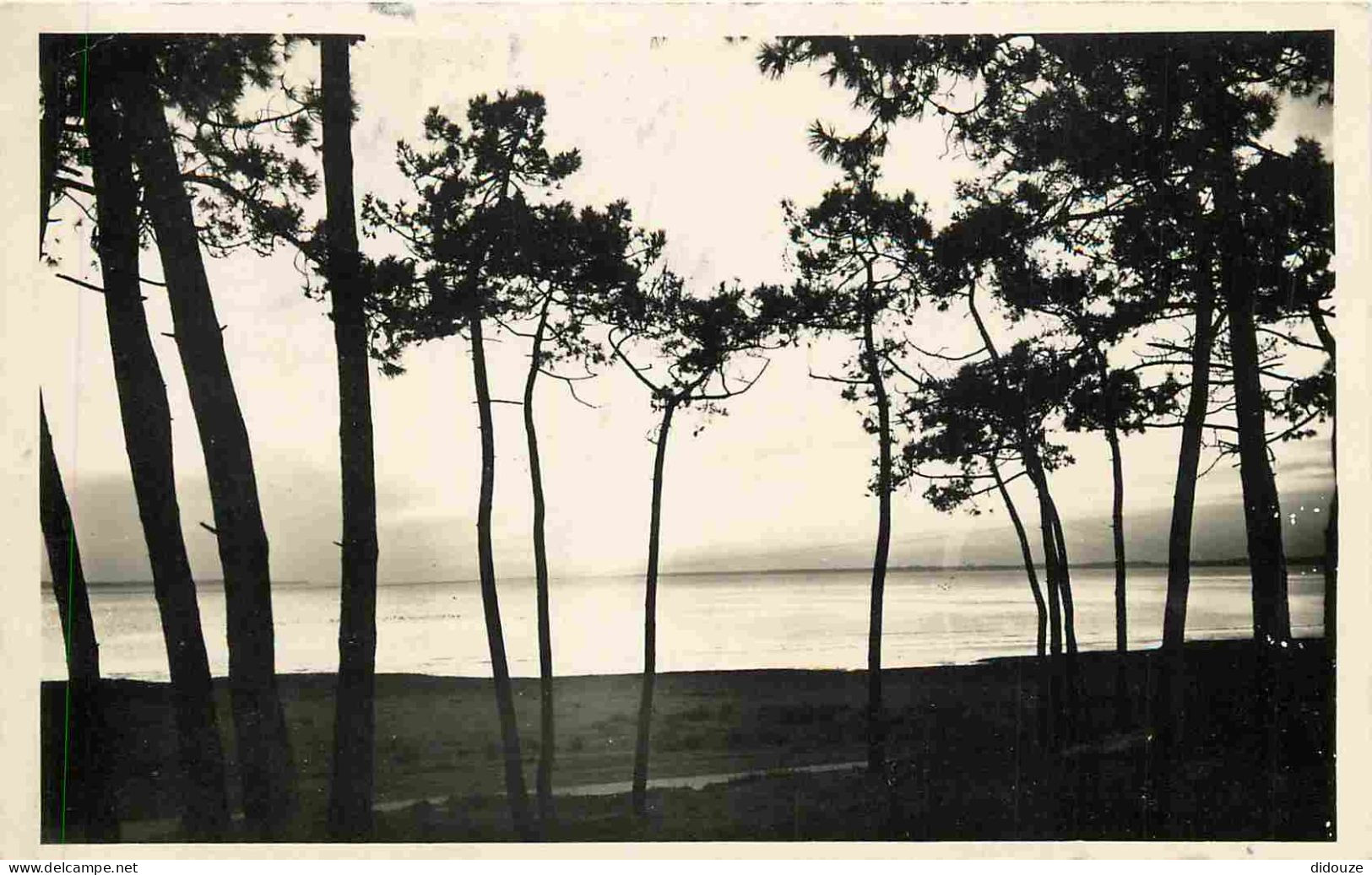 17 - Marennes - Coucher De Soleil Sur La Plage - CPSM Format CPA - Voir Scans Recto-Verso - Marennes