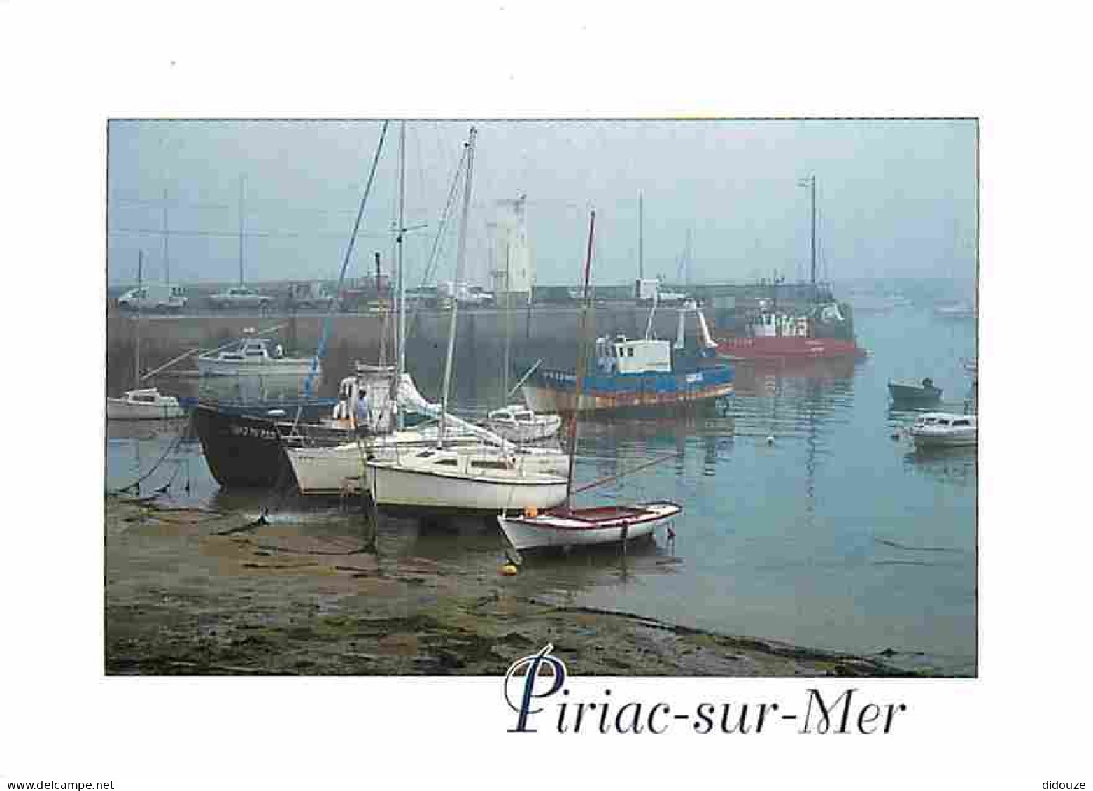 44 - Piriac Sur Mer - Brume Matinale Sur Le Port - Bateaux - Flamme Postale - CPM - Voir Scans Recto-Verso - Piriac Sur Mer