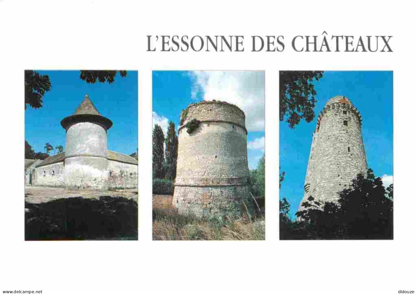 91 - Essonne - L'Essonne Des Chateaux - Multivues - CPM - Voir Scans Recto-Verso - Altri & Non Classificati