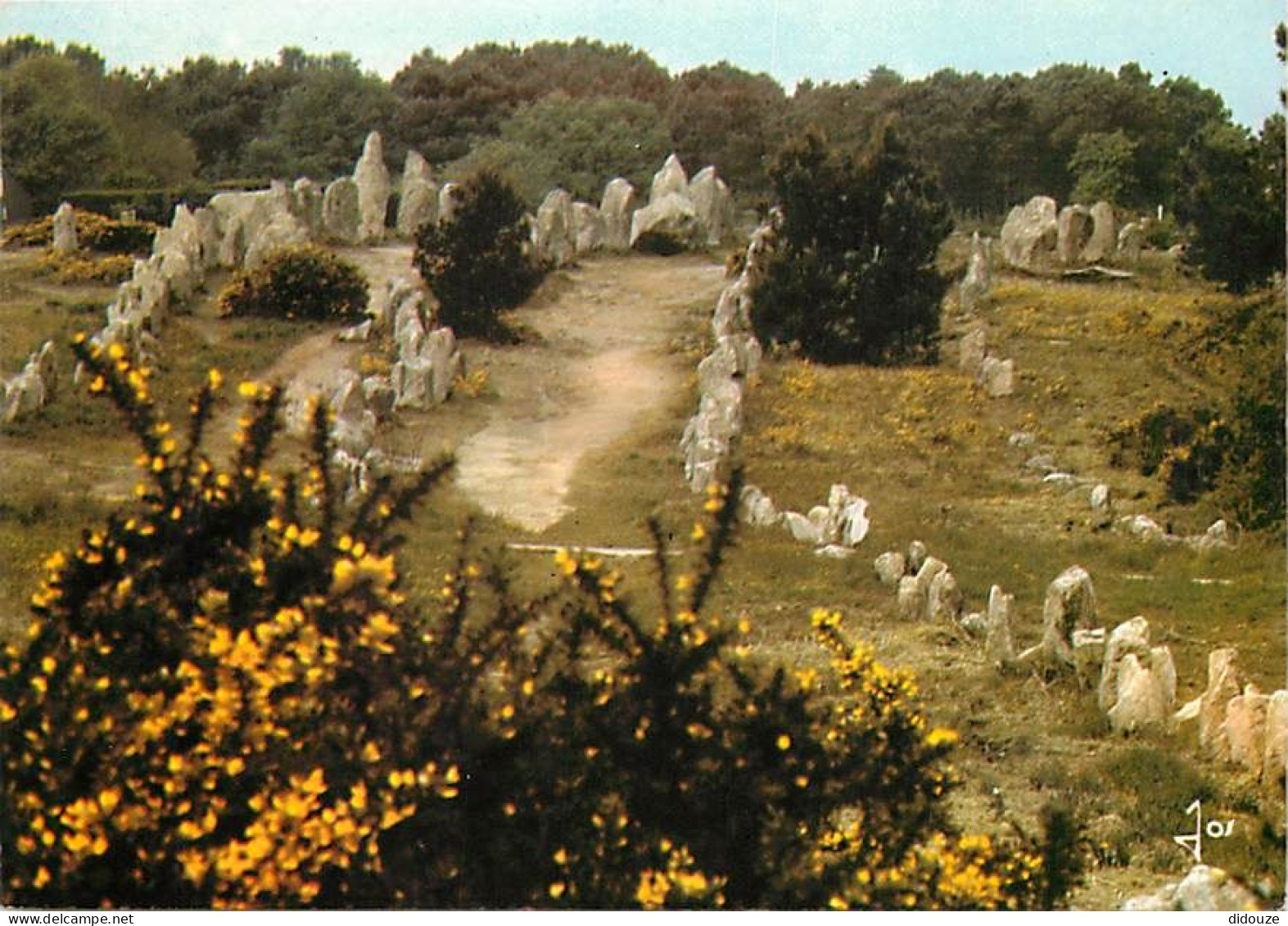 56 - Carnac - CPM - Voir Scans Recto-Verso - Carnac