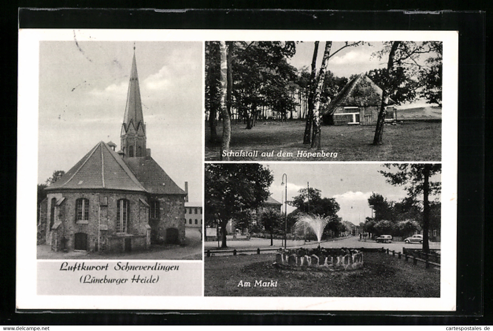 AK Schneverdingen /Lüneburger Heide, Kirche, Schafstall Auf Dem Höpenberg, Am Markt  - Schneverdingen