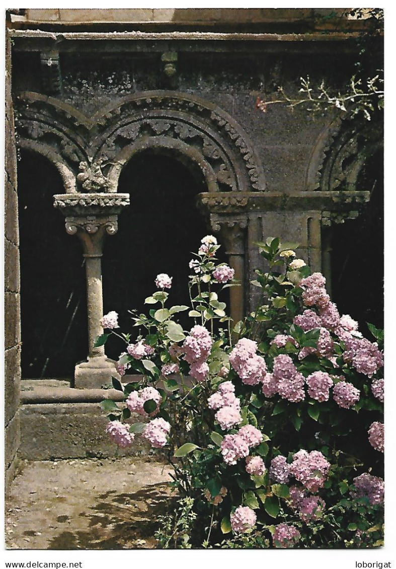 IGLESIA DE SANTA MARIA LA REAL DE SAR, CLAUSTRO - DETALLE.-  SANTIAGO DE COMPOSTELA / GALICIA - ( ESPAÑA ). - Eglises Et Cathédrales