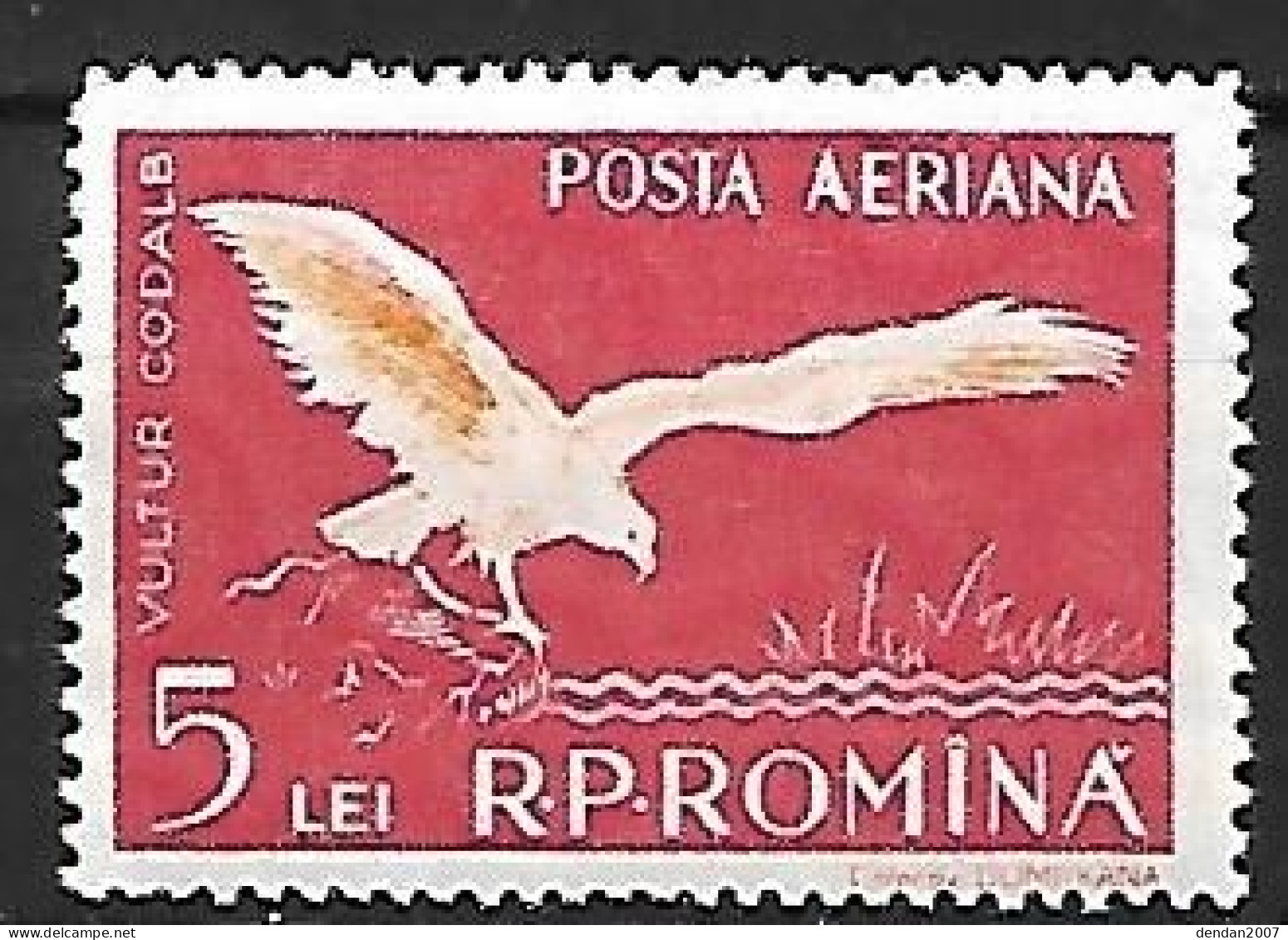 Rumania - MNH ** 1957 :  White-tailed Eagle  -  Haliaeetus Albicilla - Arends & Roofvogels