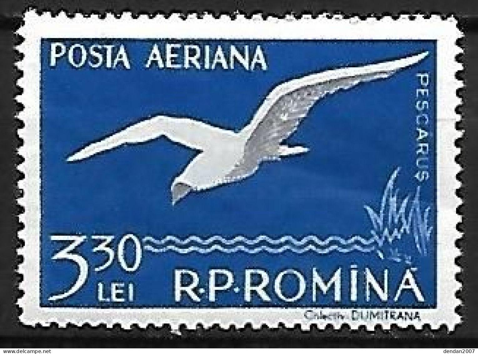 Rumania - MNH ** 1957 :   Black-headed Gull  -  Chroicocephalus Ridibundus - Gaviotas