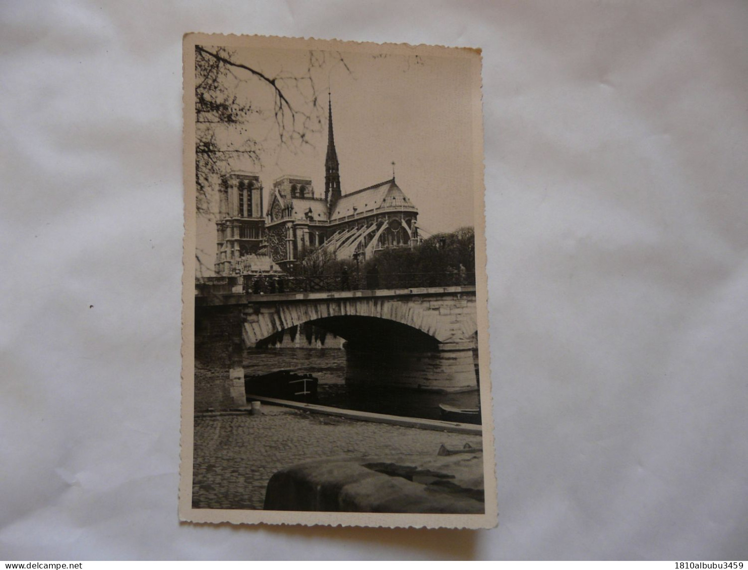 CARTE PHOTO 75 PARIS - NOTRE-DAME : Scène Animée (automobile) - Notre Dame De Paris