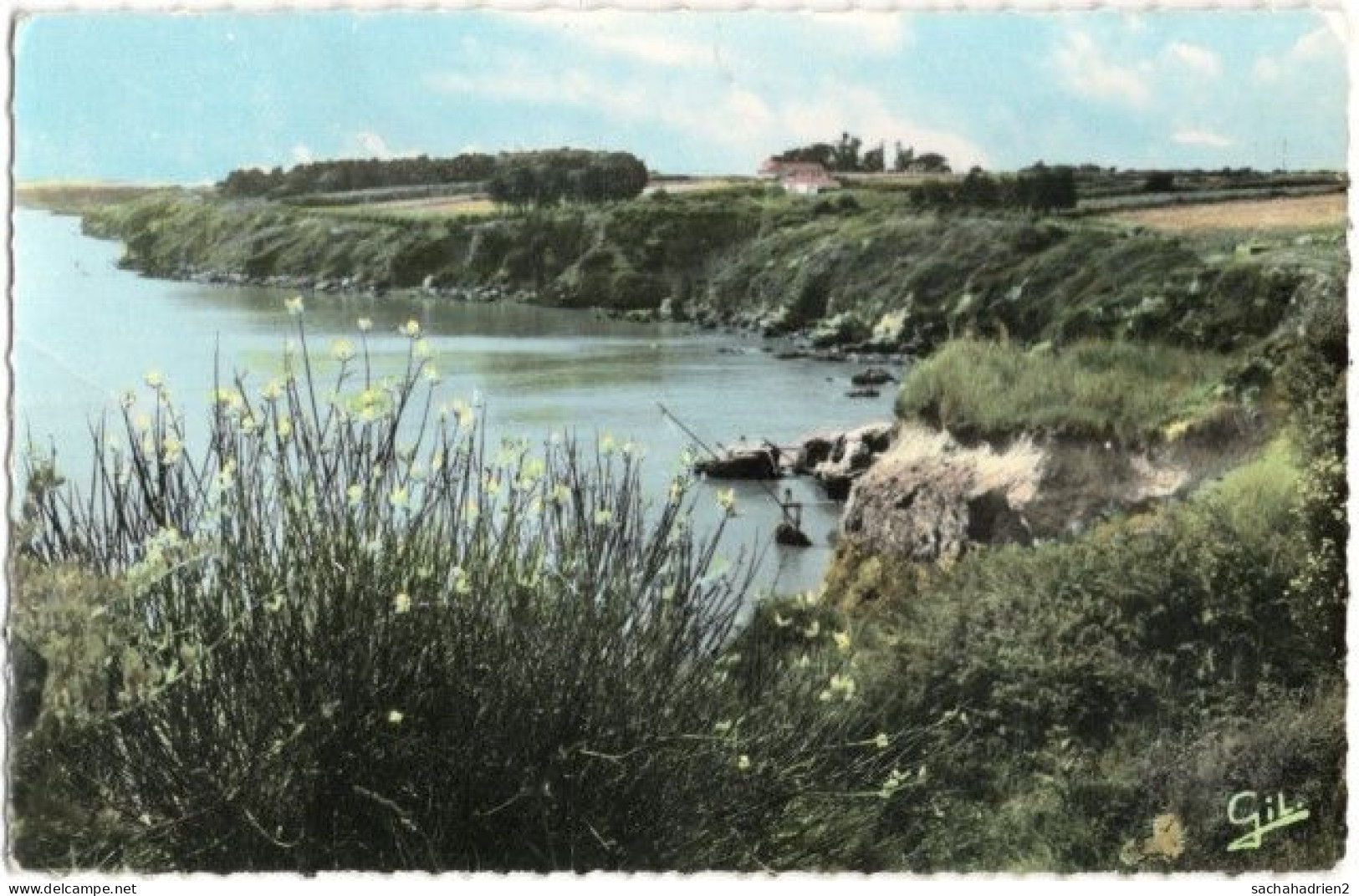 44. Pf. LA BERNERIE-EN-RETZ. Genêts Sur La Côte. 22 - La Bernerie-en-Retz