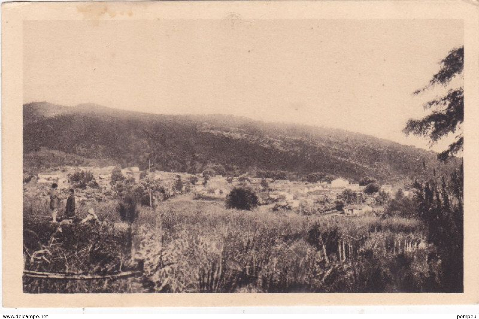 QT - Lot 14 Cartes  - ALGERIE (Quelques Villages Et Paysages) - 5 - 99 Postcards