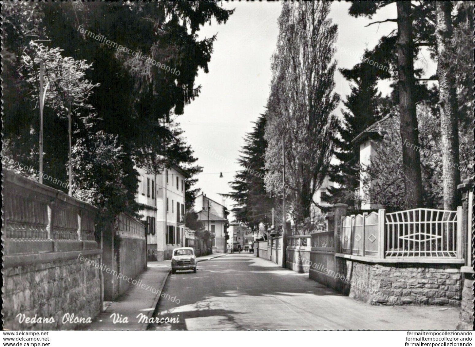 Ai36 Cartolina Vedano Olona Via Marconi Provincia Di Varese - Varese