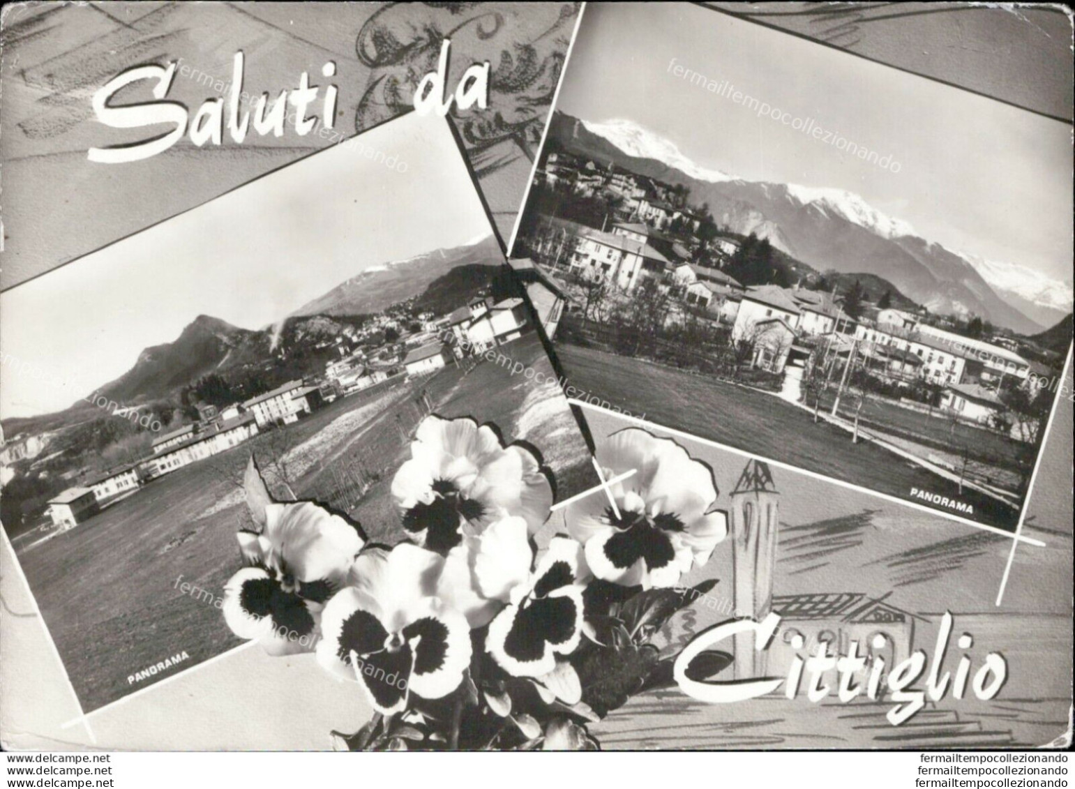 Ai37 Cartolina Saluti Da Cittiglio Provincia Di Varese - Varese