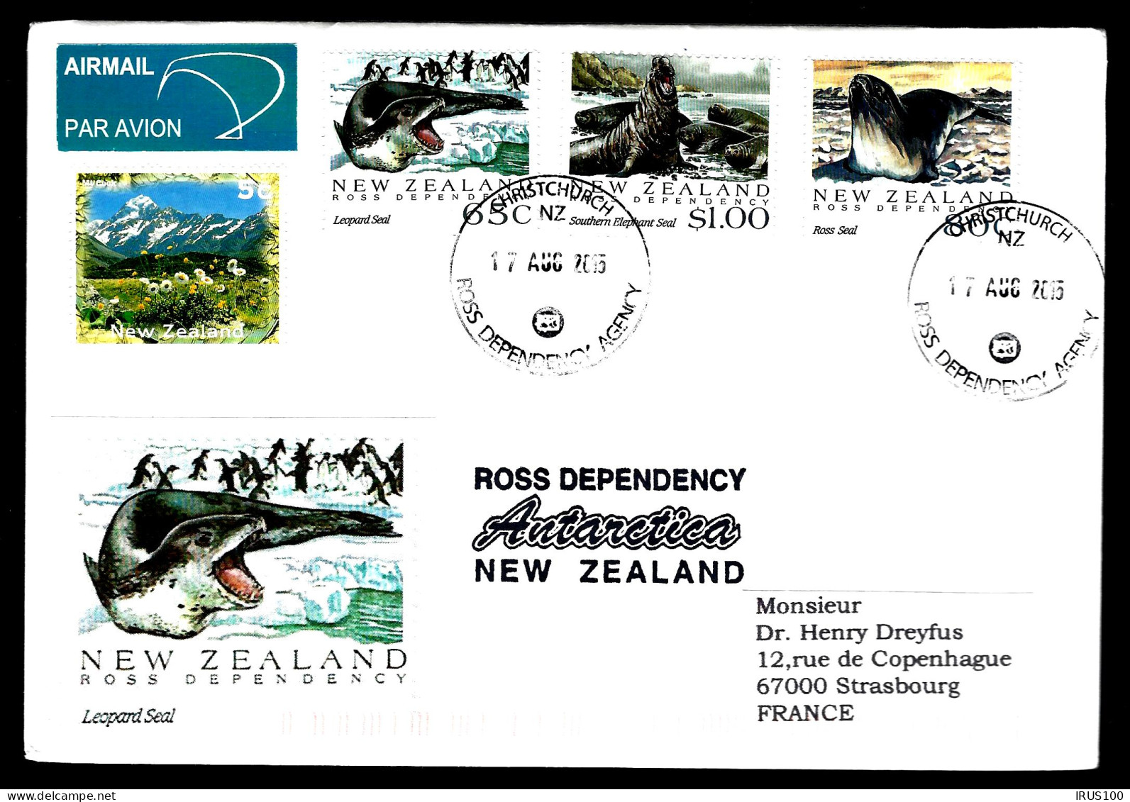 ANIMAUX MARINS - NEW ZEALAND - ANTARCTIC - - Andere & Zonder Classificatie