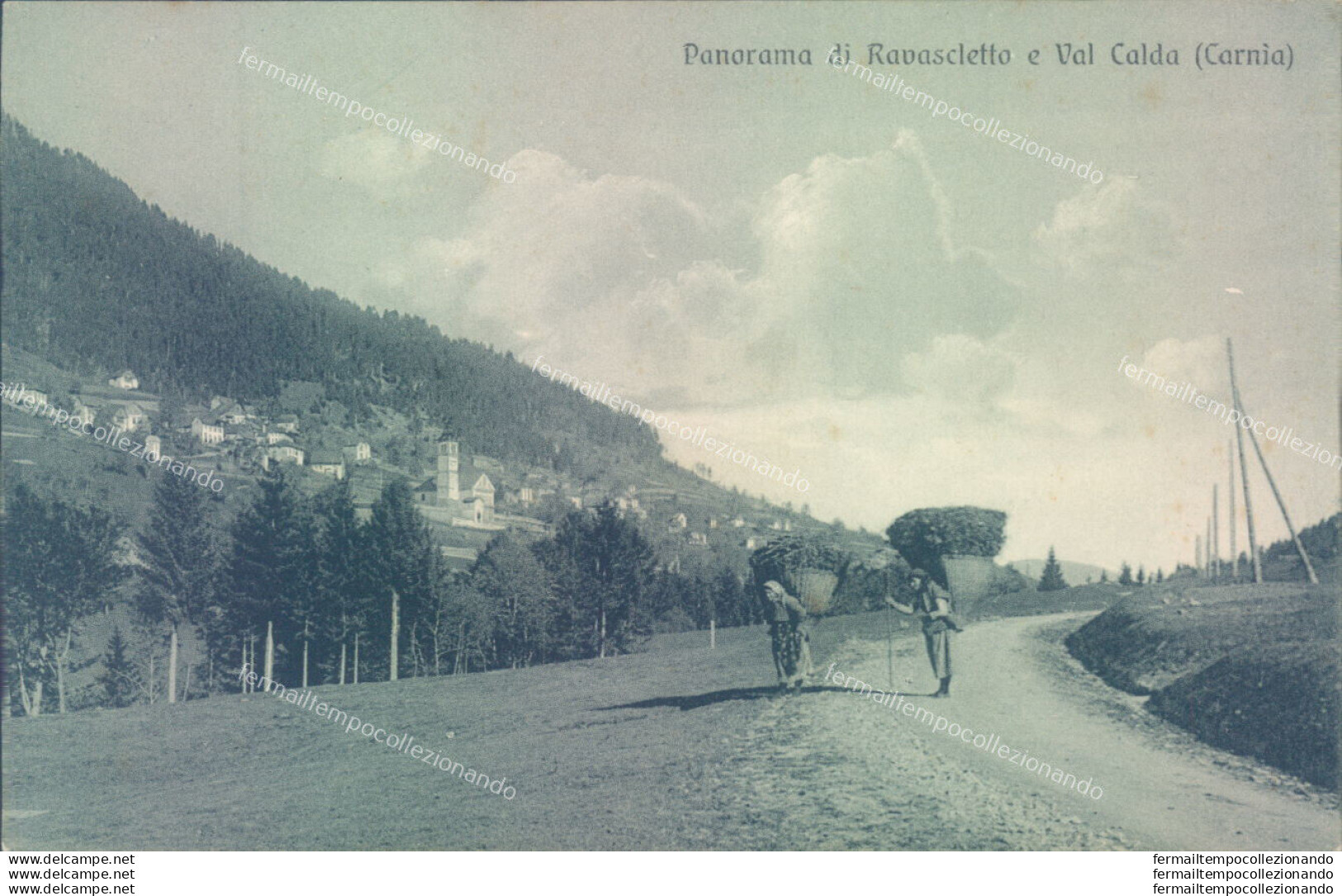 Ae71 Cartolina Panorama Di Ravascletto E Val Calda Provincia Di Udine - Udine
