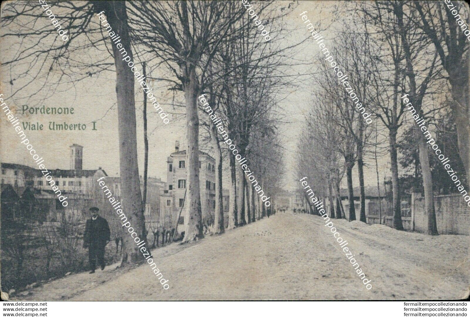 Bg55 Cartolina Pordenone Citta'viale Umberto I 1915 - Pordenone