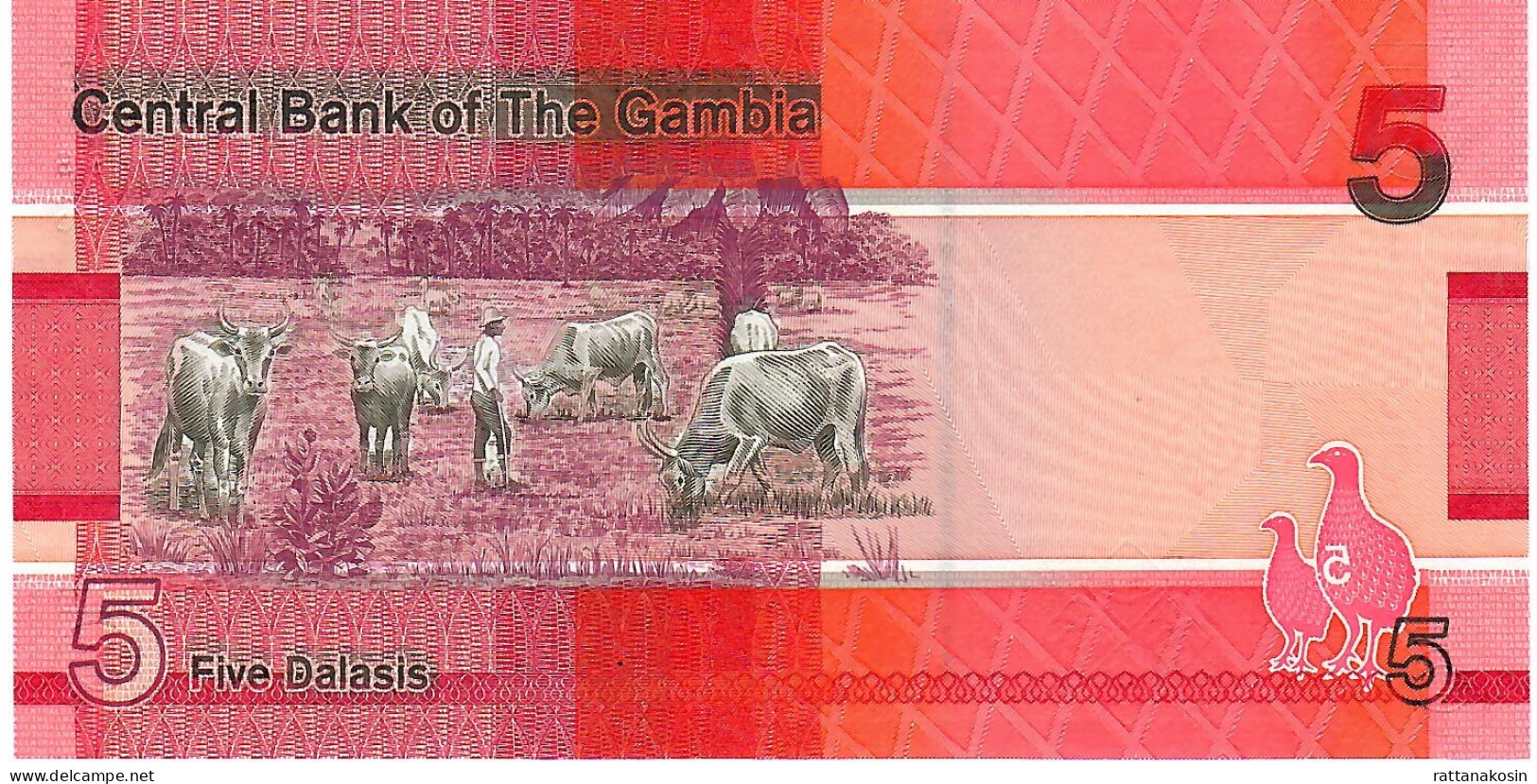 GAMBIA P37c 5 DALASI 2023   UNC. - Gambia