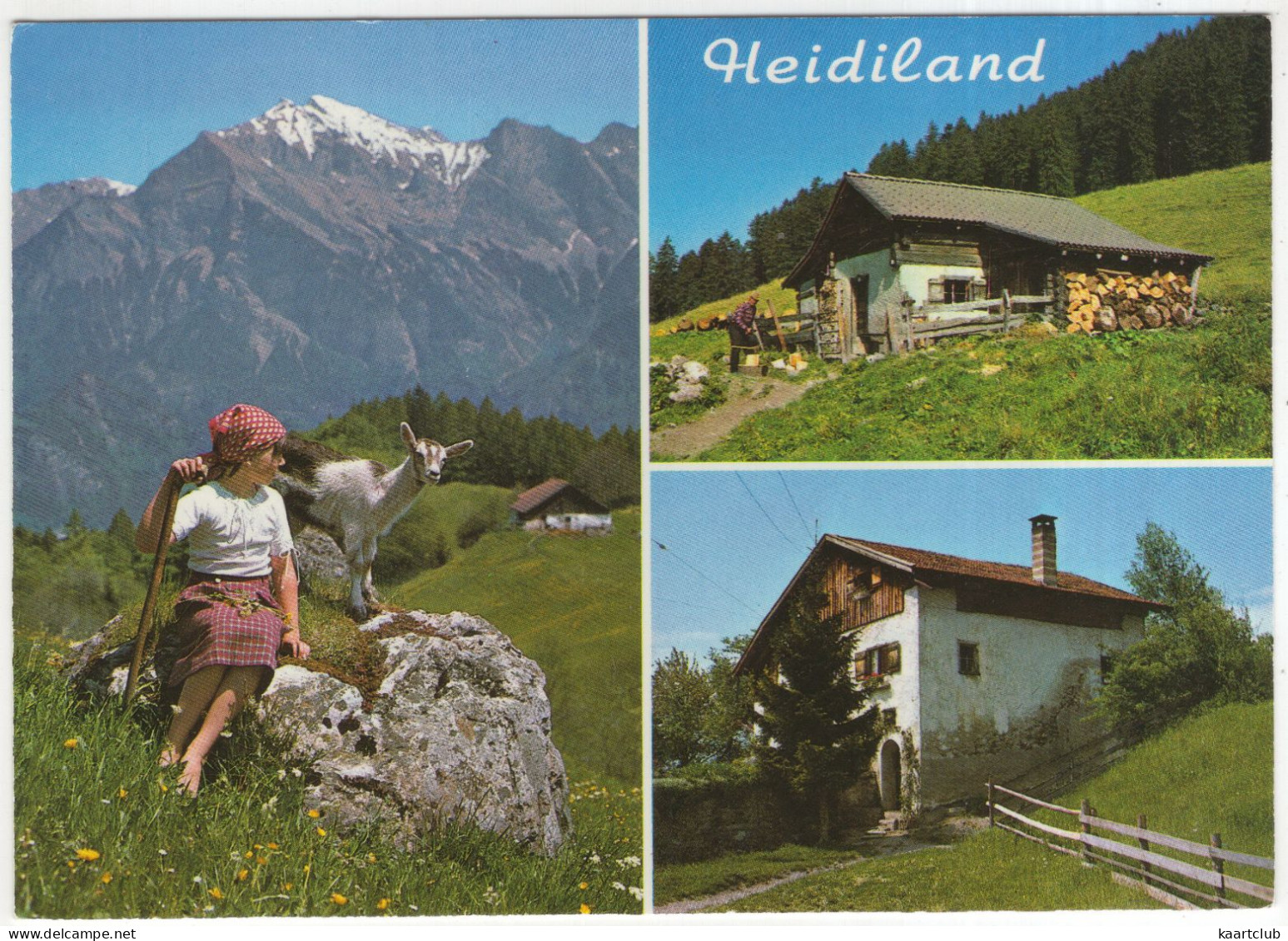 Heidiland Mit Falknis, Heidialp, Heidihaus - (Schweiz/Suisse/Switzerland) - Chèvre/Goat/Geit - Bad Ragaz