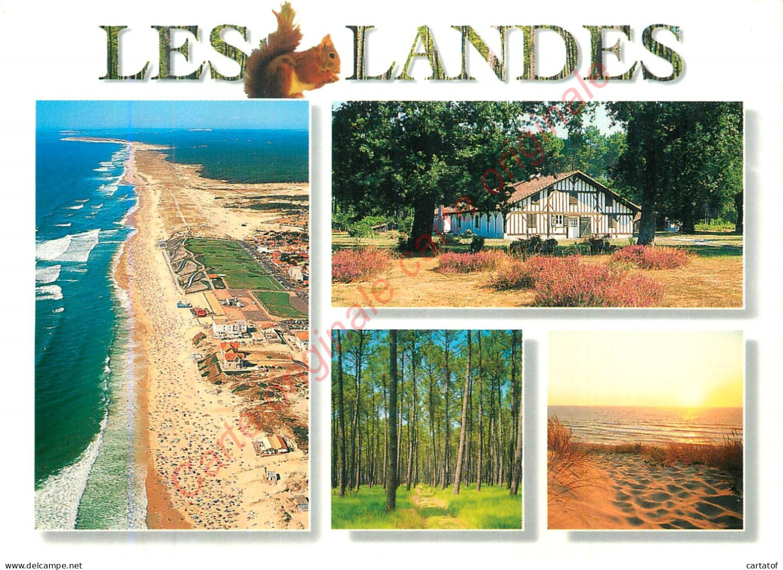 40.  LES LANDES . - Zonder Classificatie