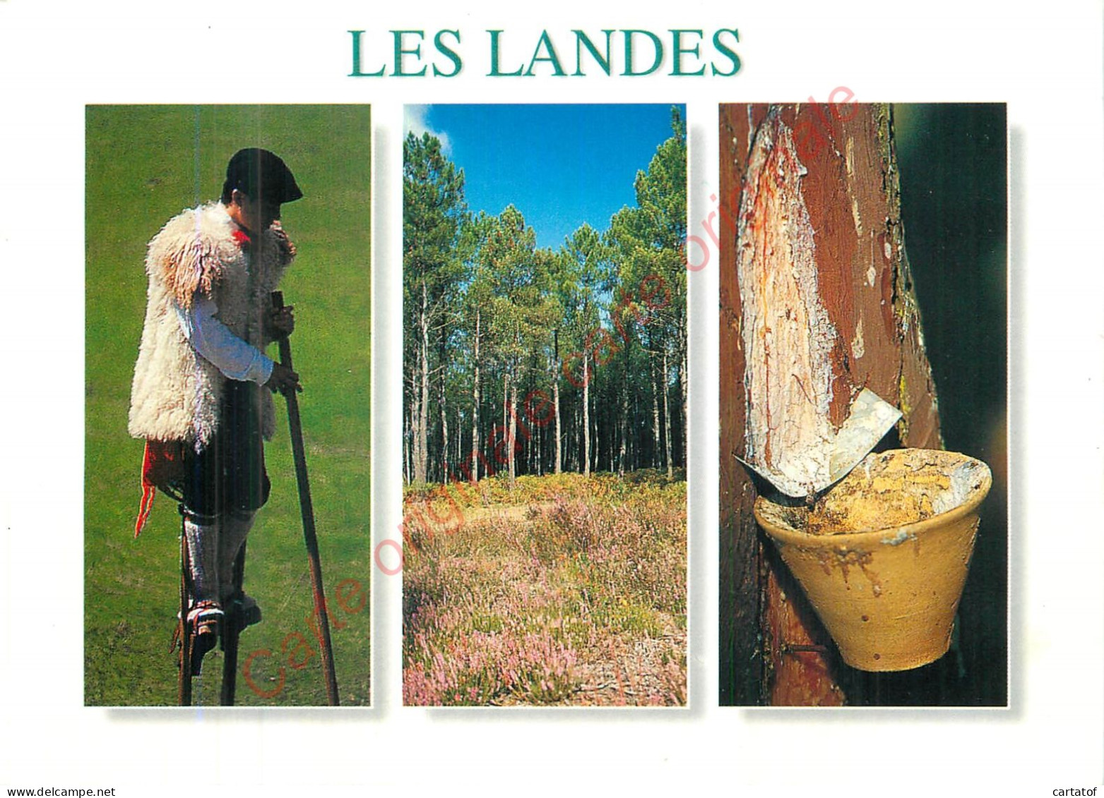 40.  LES LANDES .   - Zonder Classificatie