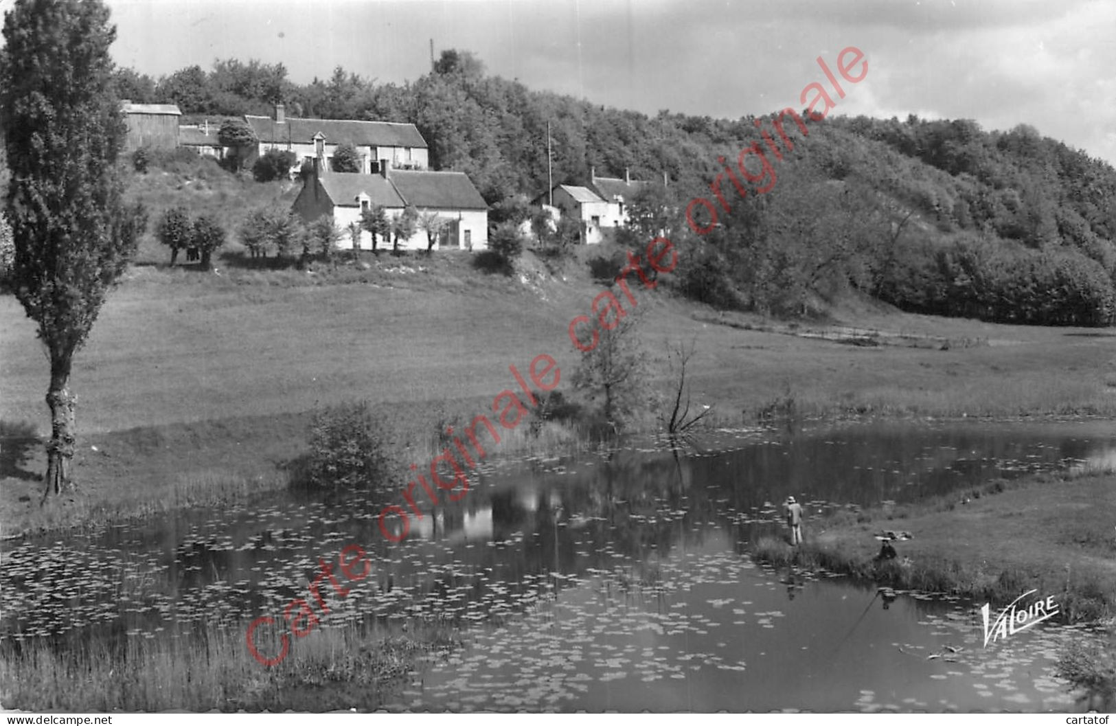 41.  SELLES Sur CHER .  Les Bords De La Sauldre .  La Cave . - Selles Sur Cher