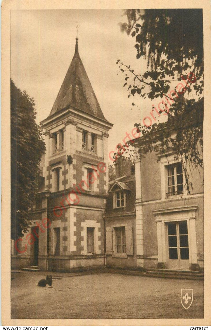 41.   HUISSEAU SUR COSSON .  Château De Bioux .  - Ohne Zuordnung