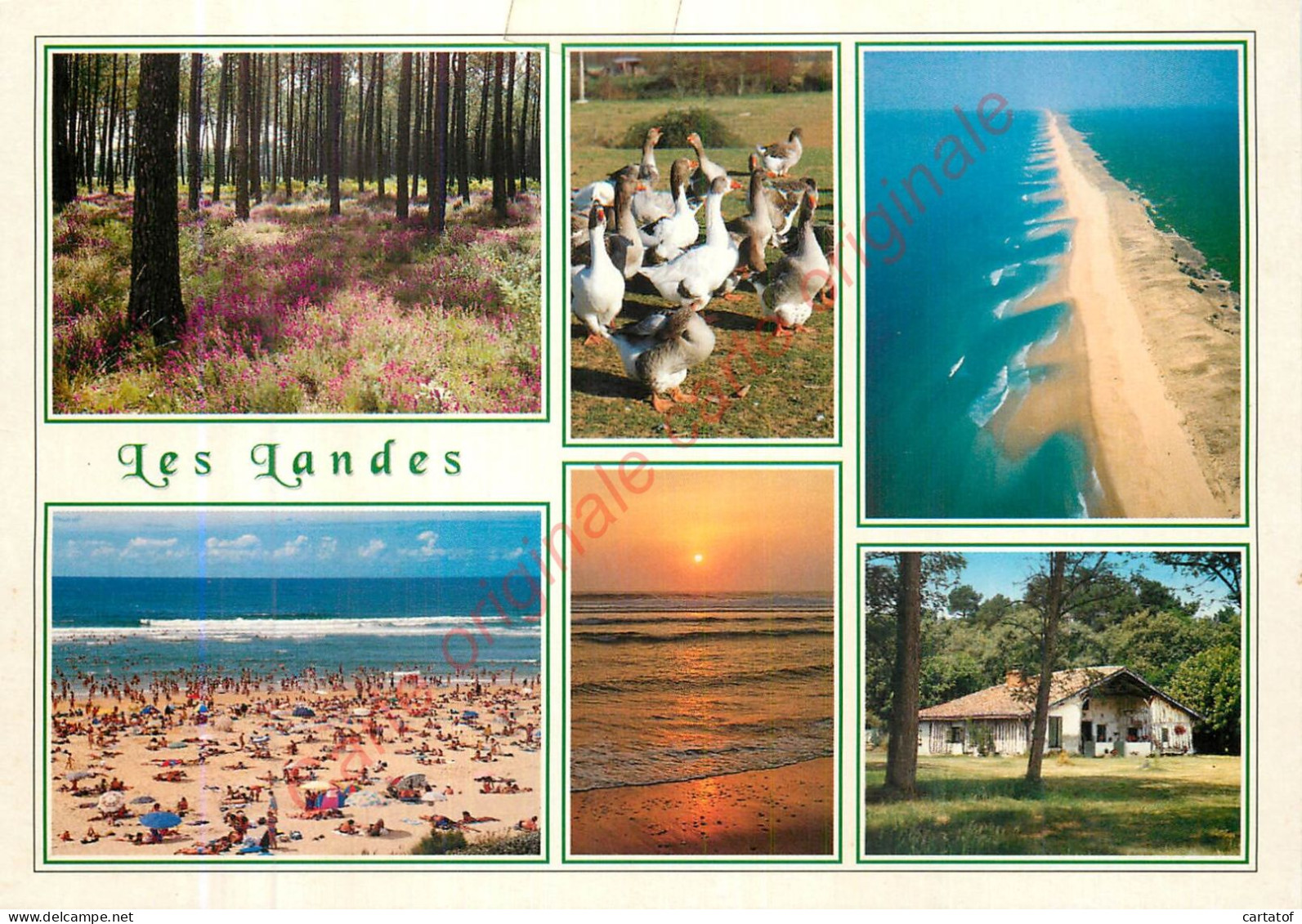 40.   LES LANDES .  CP Multivues . - Unclassified