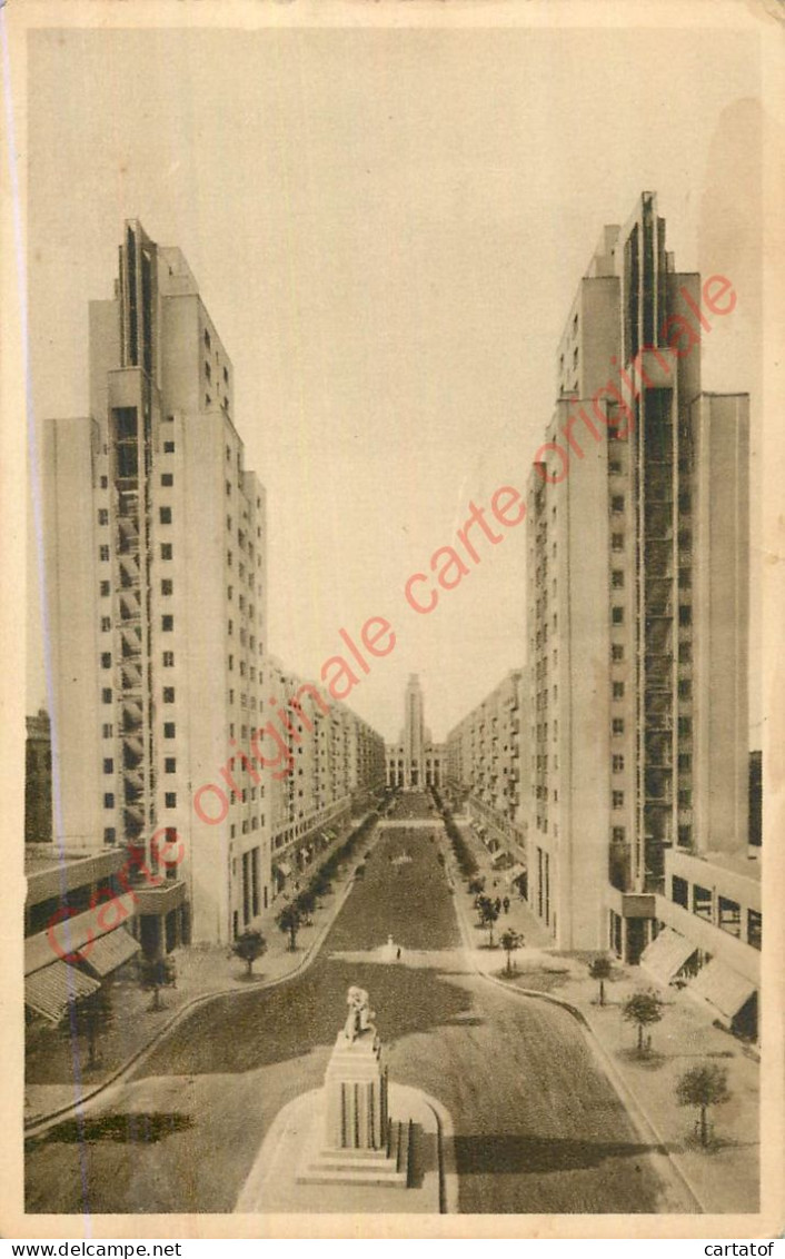 69.  VILLEURBANNE .  Avenue De L'Hôtel De Ville . - Villeurbanne