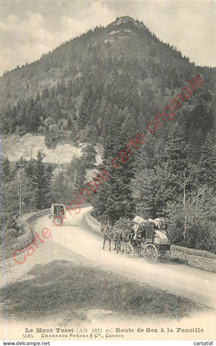 01.  Le MOnt Turet . Route De GEX à La FAUCILLE . - Gex