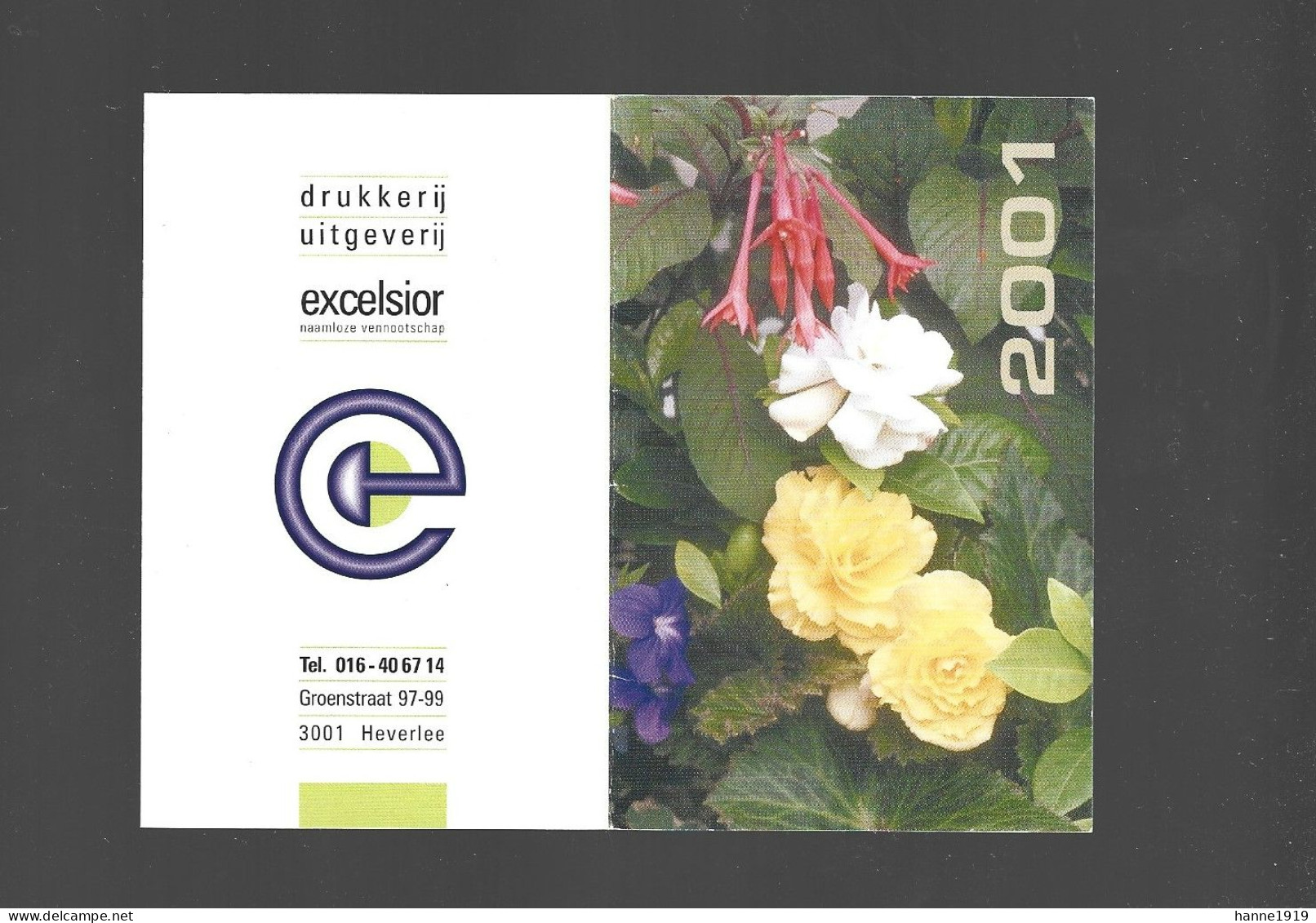 Heverlee Groenstraat Drukkerij Excelsior Kalender 2001 Calendrier Htje - Formato Piccolo : 1991-00