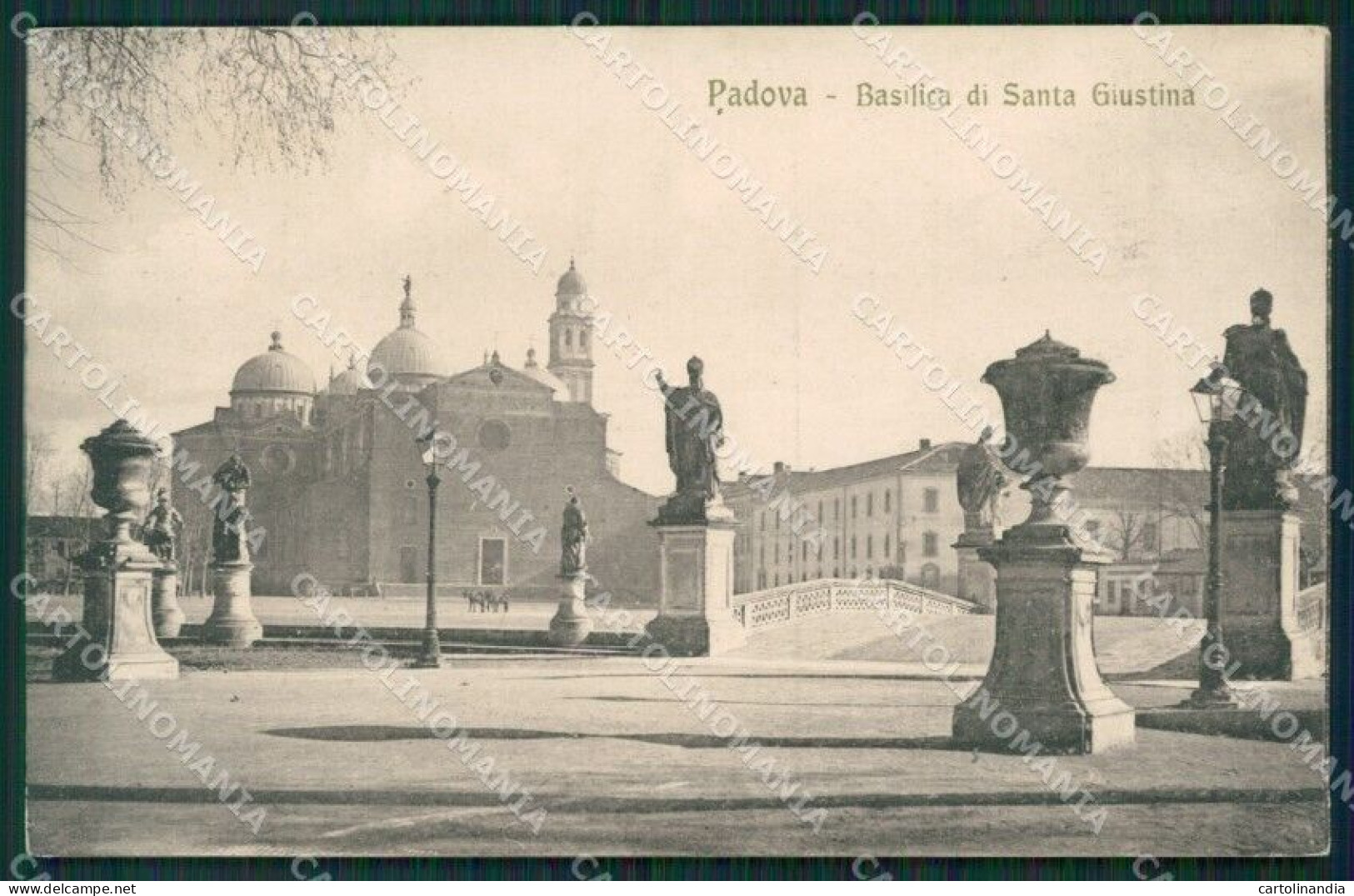 Padova Città SCOLLATA Cartolina KV3410 - Padova