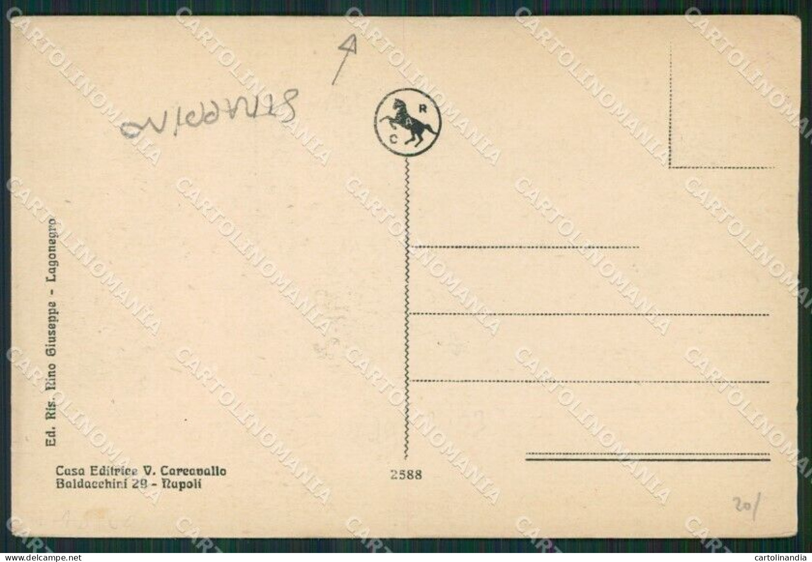 Potenza Lagonegro STRAPPINO Cartolina KV3485 - Potenza