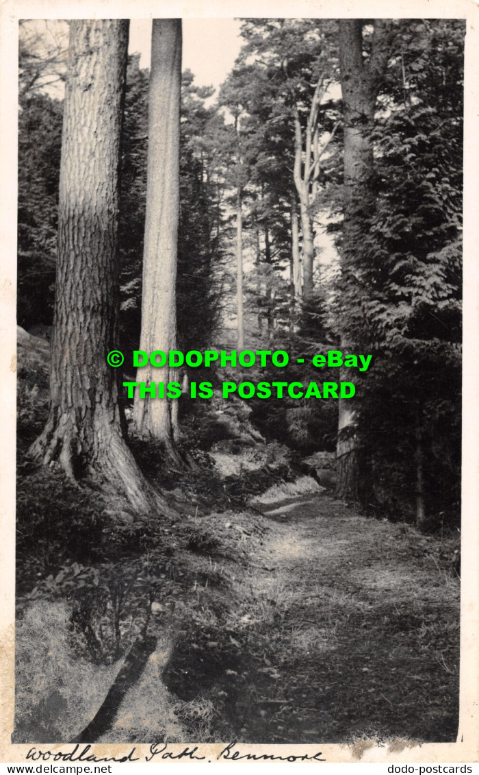 R476363 Woodland Park. Postcard - Mondo