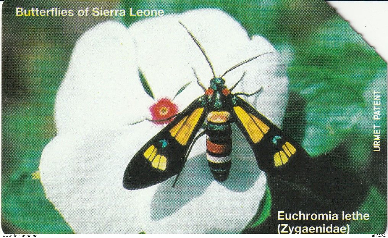 PHONE CARD SIERRA LEONE  (CZ1250 - Sierra Leona