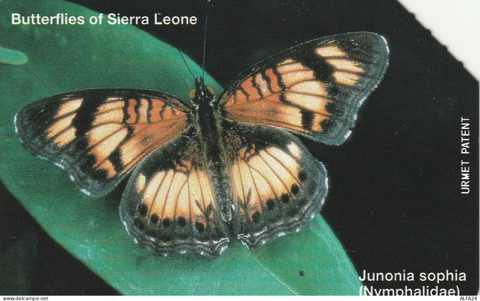 PHONE CARD SIERRA LEONE  (CZ1253 - Sierra Leona