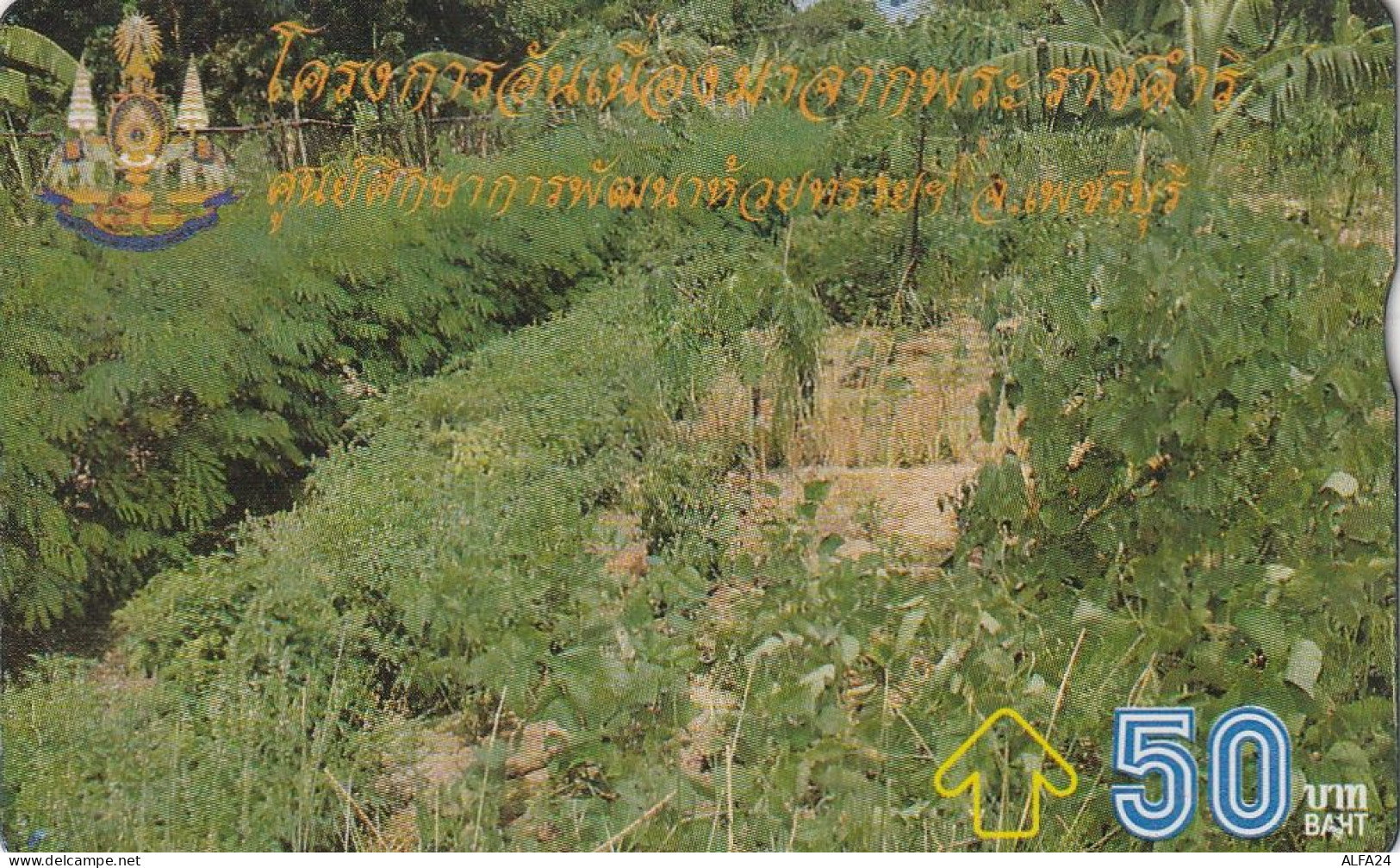 PHONE CARD THAILANDIA  (CZ1205 - Thailand