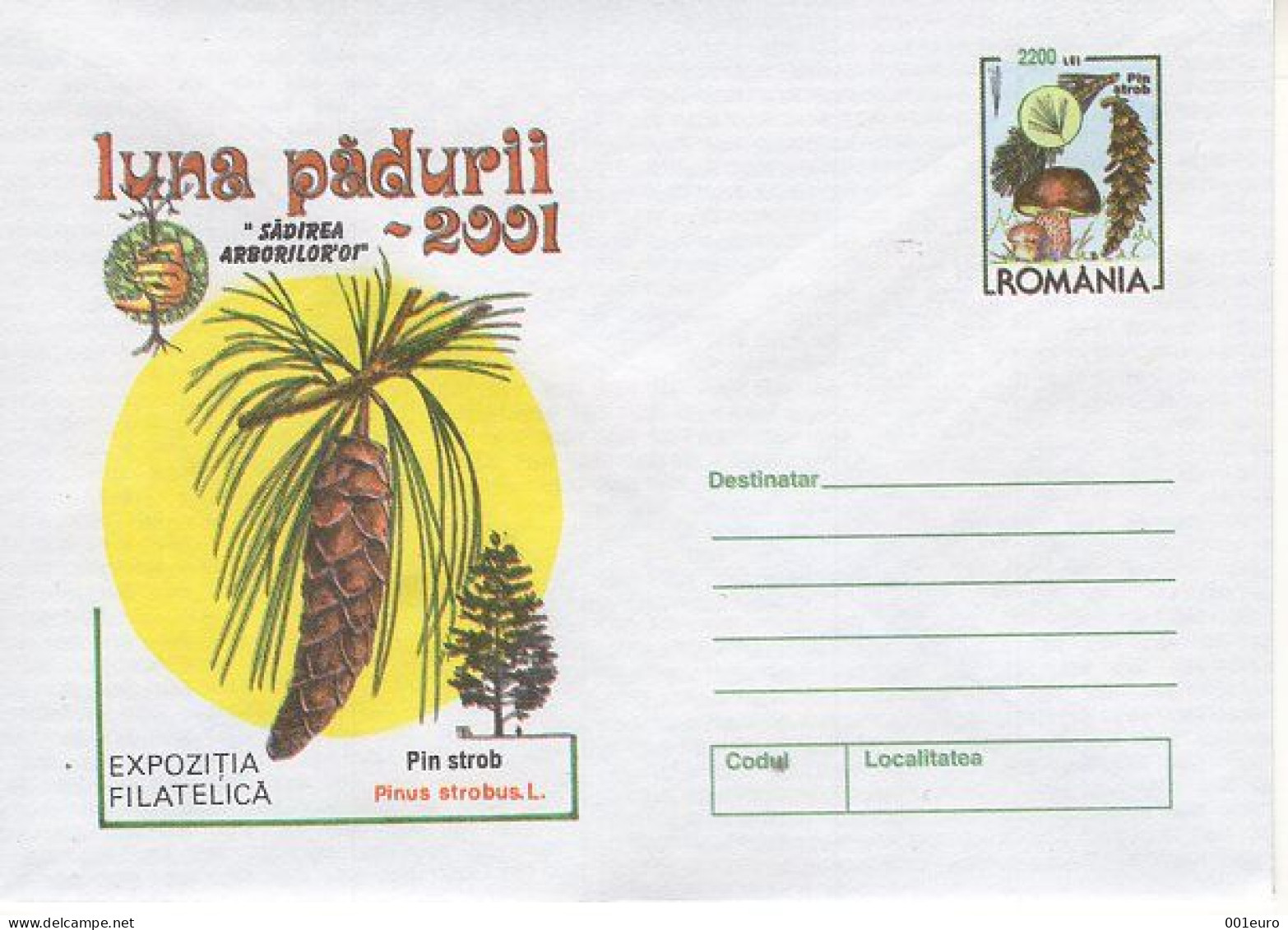 ROMANIA 2001: FOREST MONTH - TREE & MUSHROOMS 3 Unused Prepaid Postal Stationery Covers - Registered Shipping! - Entiers Postaux