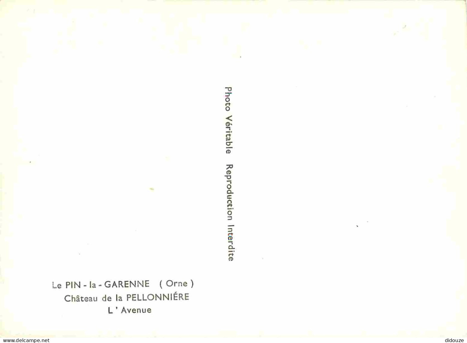 61 - Le Pin La Garenne - Château De La Pellonnière - L'Avenue - Mention Photographie Véritable - CPSM Grand Format - Car - Other & Unclassified