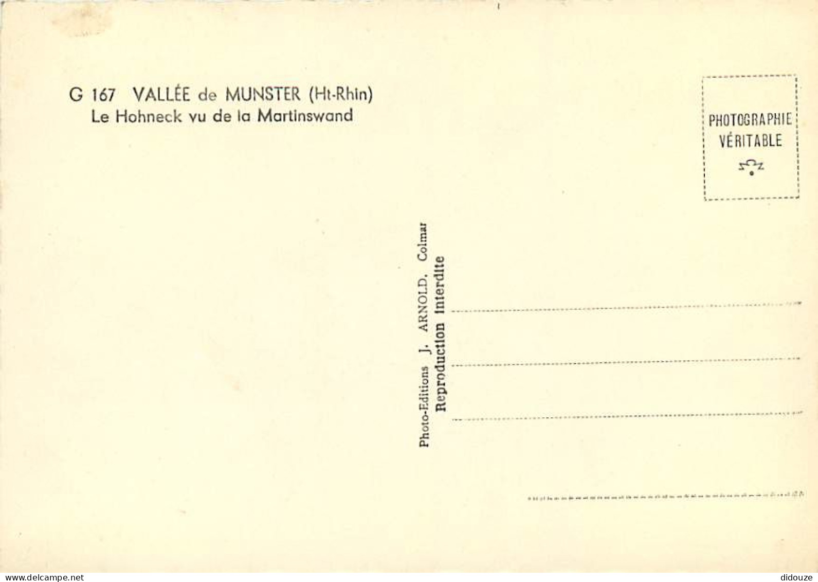 68 - Munster - Vallée De Munster - Le Hohneck Vu De La Martinswand - Mention Photographie Véritable - CPSM Grand Format  - Munster