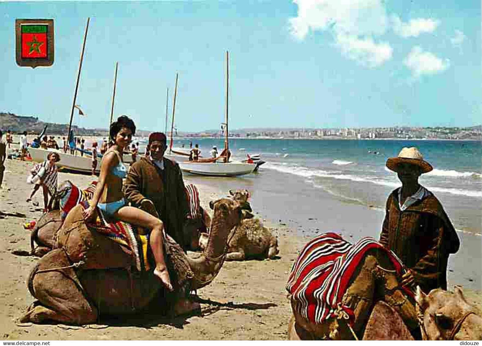 Maroc - Tanger - La Plage - Femme En Maillot De Bain Sur Un Chameau - Chameliers - Carte Neuve - CPM - Voir Scans Recto- - Tanger