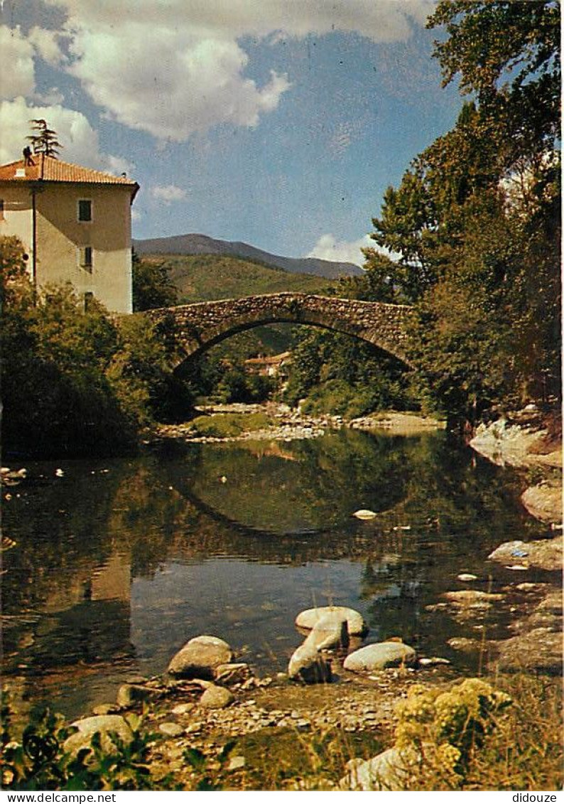 30 - Chamborigaud - Pont De Rastel (Pont Romain) De Luech (Rivière à Truites) - Vieilles Pierres - CPM - Voir Scans Rect - Chamborigaud