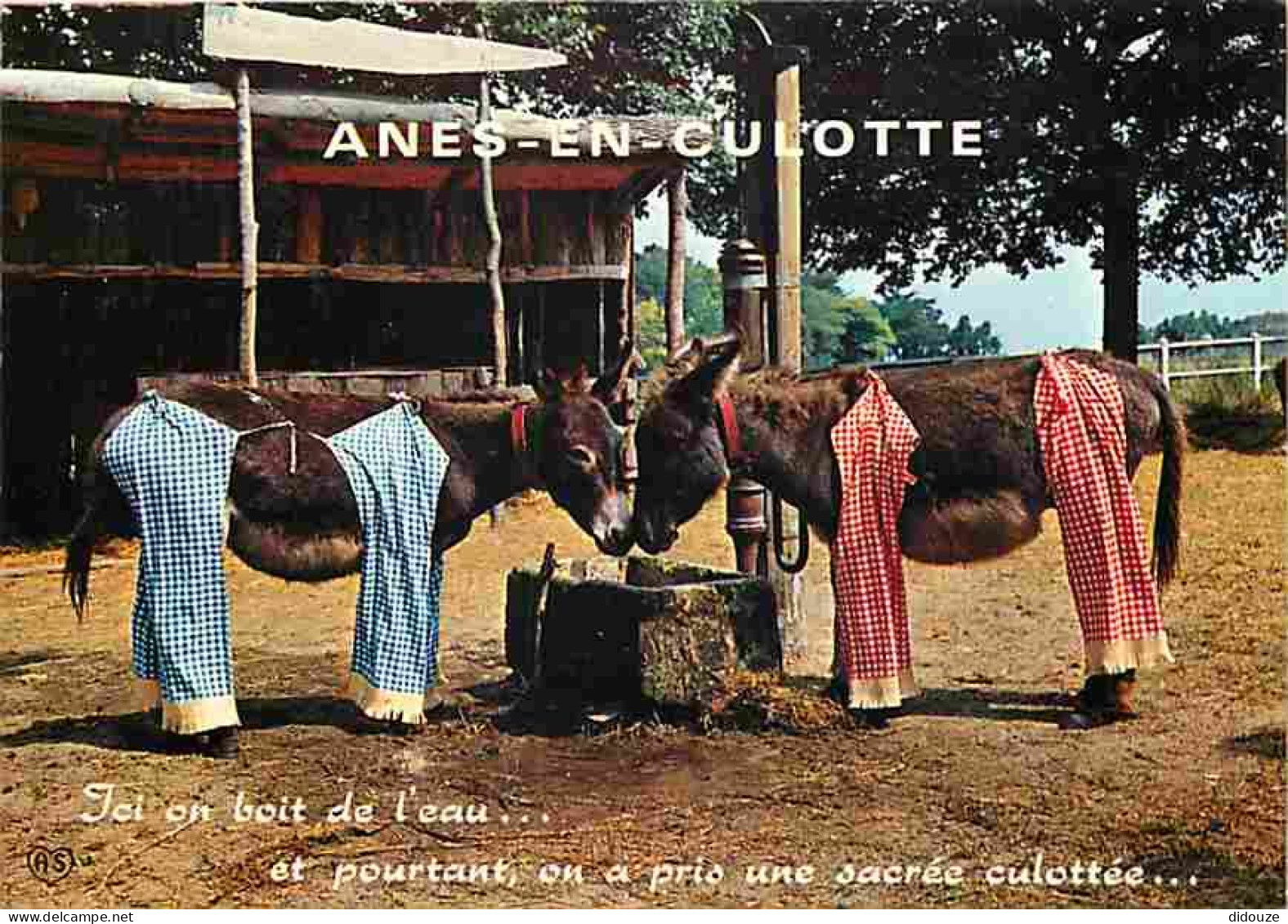 17 - Ile De Ré - Anes En Culotte - Carte Neuve - CPM - Voir Scans Recto-Verso - Ile De Ré