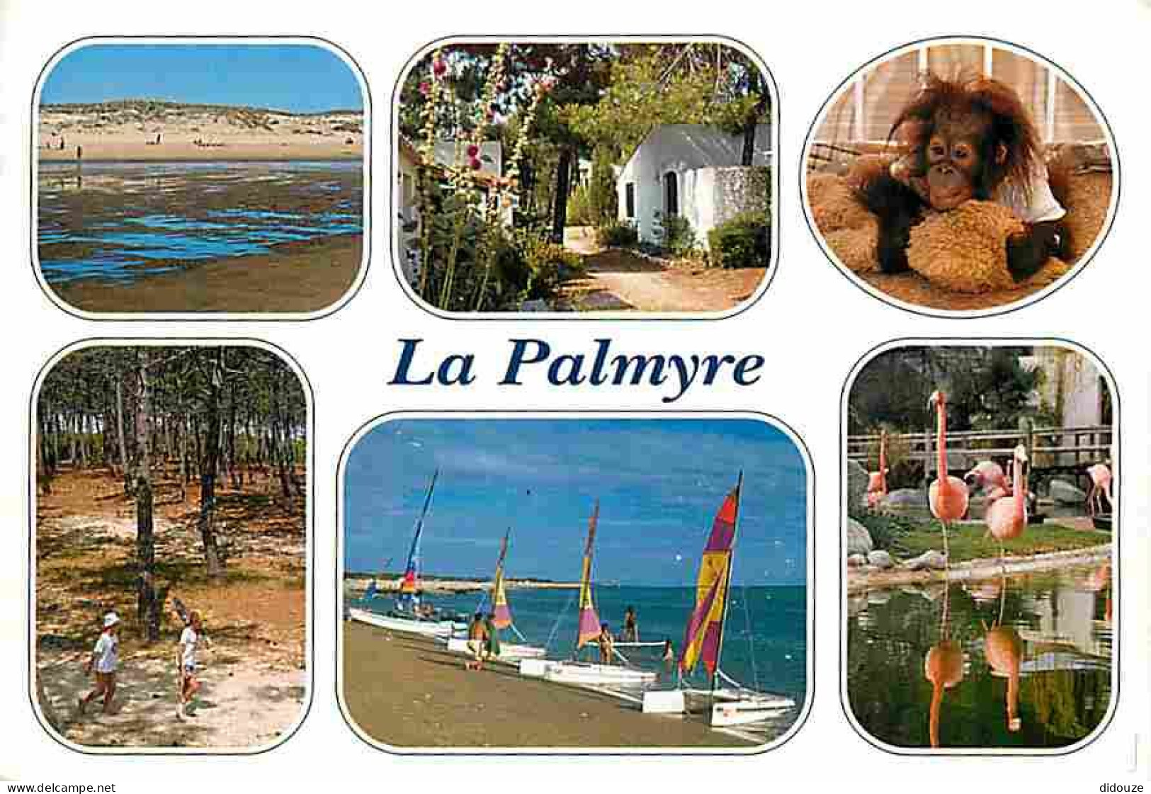 17 - La Palmyre - Multivues - La Baie De Bonne Anse Et Le Phare De La Coubre - Coucher De Soleil - Le Port - Plage De La - Les Mathes