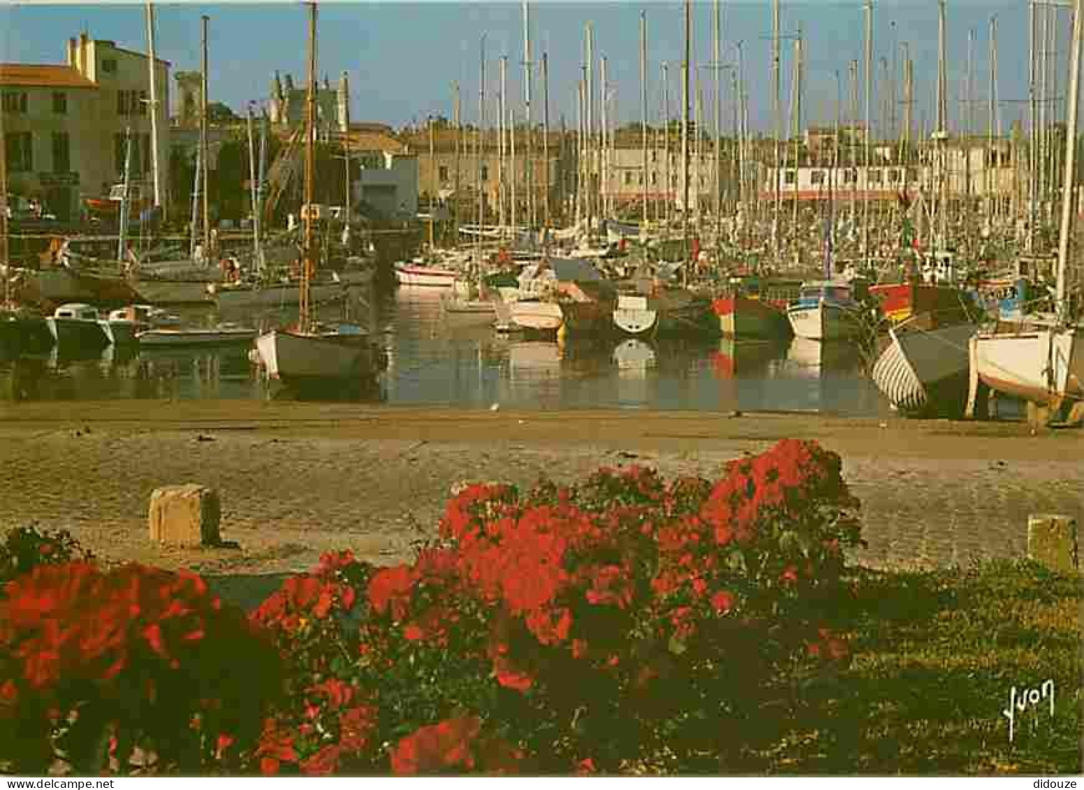 17 - Ile De Ré - Saint Martin De Ré - Le Port - Bateaux - Fleurs - CPM - Voir Scans Recto-Verso - Saint-Martin-de-Ré