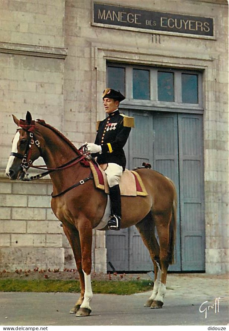 Animaux - Chevaux - Saumur - Le Cadre Noir - Officier Du Cadre Noir - Carte Neuve - CPM - Voir Scans Recto-Verso - Pferde