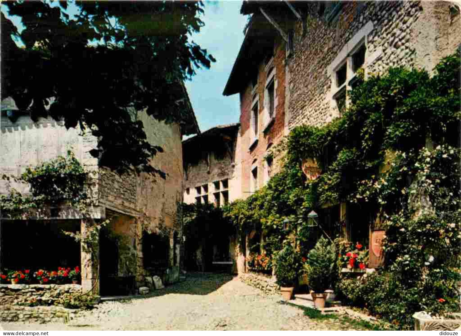 01 - Pérouges - Rue Des Princes - Ostellerie - Musée - Cité Médiévale - Vieilles Pierres - CPM - Voir Scans Recto-Verso - Pérouges