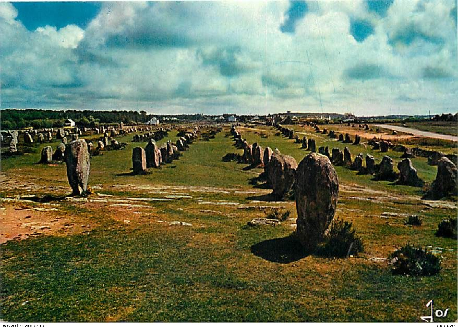 56 - Carnac - CPM - Voir Scans Recto-Verso - Carnac