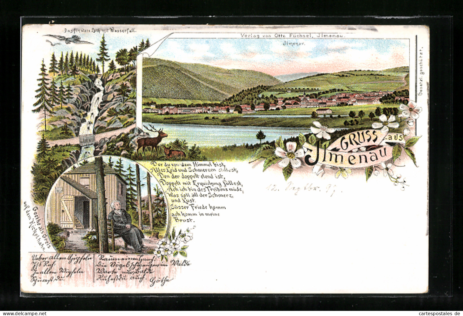 Lithographie Ilmenau, Gesamtansicht, Das Finstere Loch Mit Wasserfall  - Ilmenau