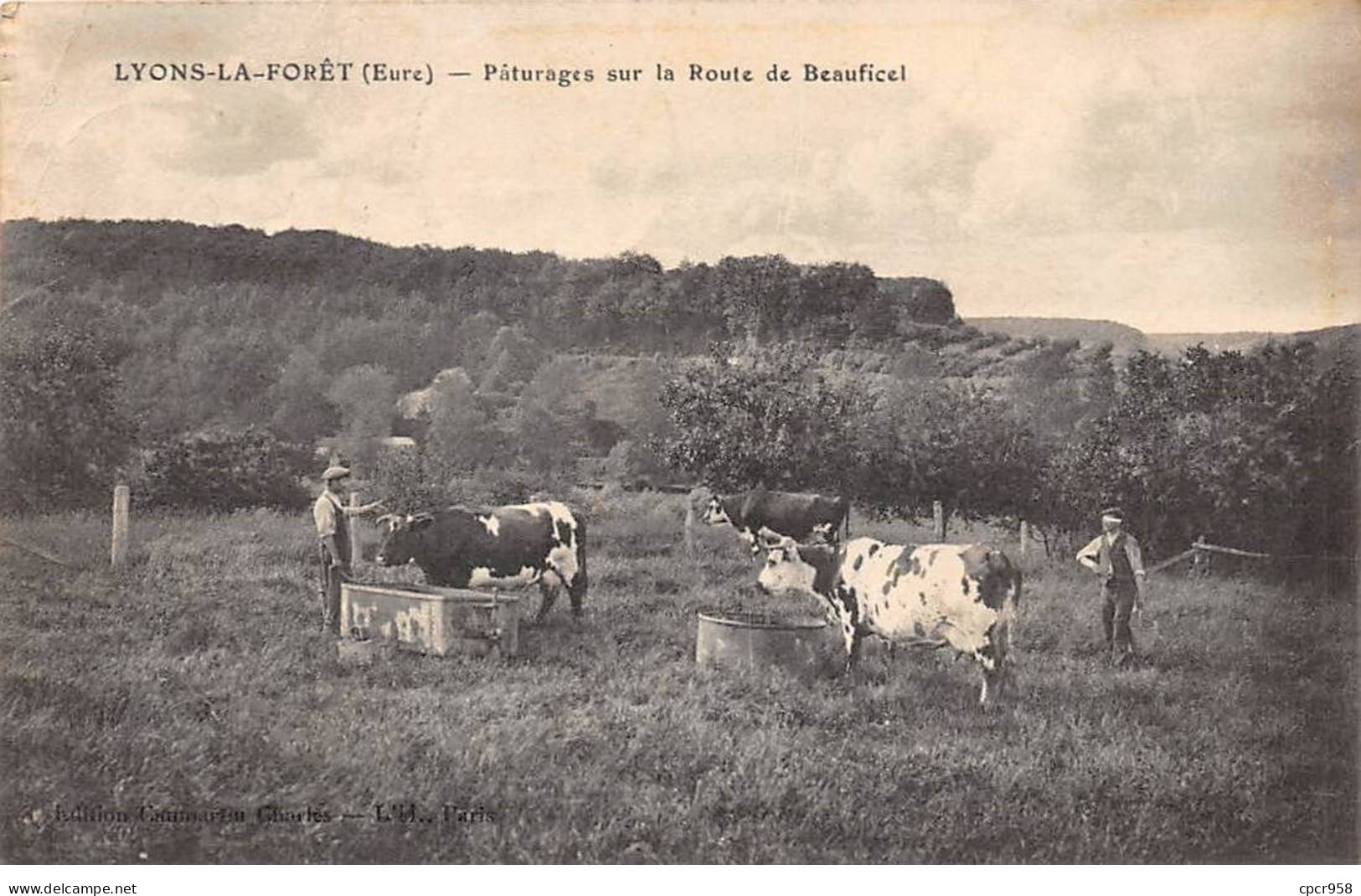 27.AM18337.Lyons La Forêt.Pâturages Sur La Route De Beauficel.Vache - Lyons-la-Forêt