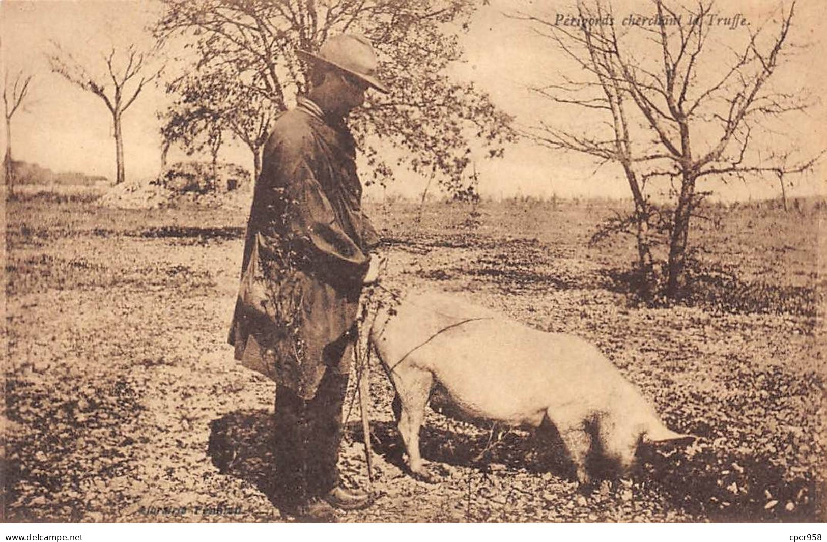 24 - DORDOGNE - SAN35540 - Périgords Cherchant La Truffe - Agriculture - Autres & Non Classés