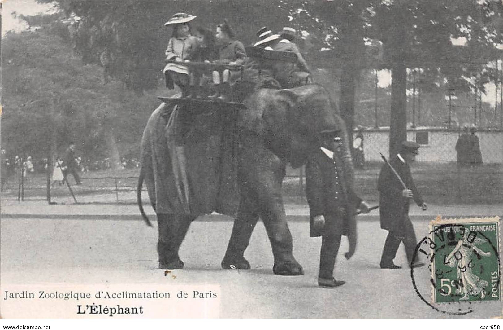 75016 - PARIS - SAN35059 - Jardin Zoologique D'Acclimatation - L'Eléphant - Arrondissement: 16